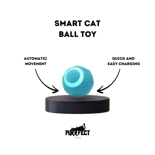 Smart Cat Ball Toy