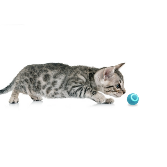 Smart Cat Ball Toy